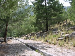 Priene, the ancient holy city of Ionia